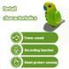 Інтерактивний папугу Funny Parrot для мовних навичок TT8005 Жовтий TT8005YELL фото 4