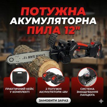 Акумуляторна ланцюгова пила 12", із шиною 12 дюймів, 2 акумулятори 48V Li-ion, у пластиковому кейсі N12482 фото